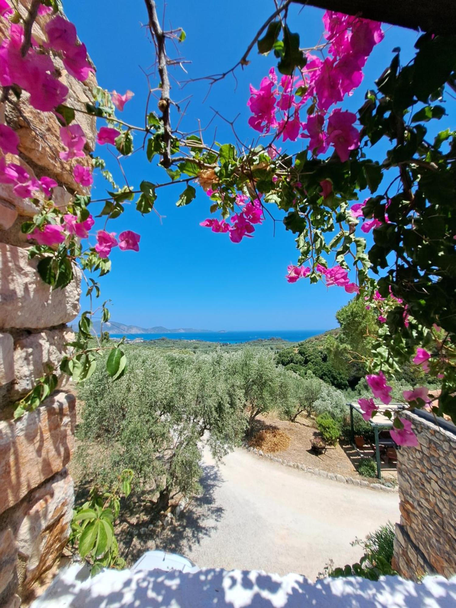 Tsivouli Accommodation Lithakia  Екстериор снимка